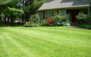 Outdoor Mosquito Control Treatment Business Franchise for Sale in Central Illinois