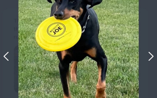 Outdoor Mosquito Control Treatment Business Franchise for Sale in Central Illinois