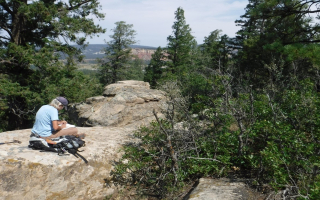 Environmental Consulting Firm