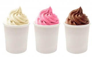 Menchie's Frozen Yogurt Franchise