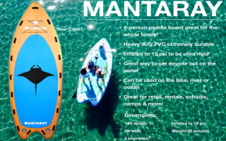 Ride the Wave of Opportunity: Kids-Only Surfboard Distributor Seeks Visionary Partner or Buyer!