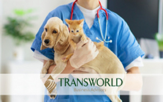 Profitable, Established Veterinary Pet Clinic
