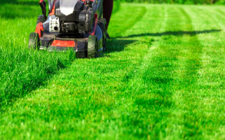 Landscaping Business with Strong Reputation