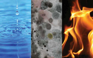 Established Restoration Business for Sale!