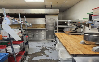 Vegan Wholesale Bakery - Est. 10 yrs, Asset Sale.