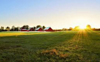 All Natural CBD & other natural products eCommerce, extremely popular - Seed Round