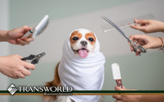 Unleash Your Success: Pet Grooming Business