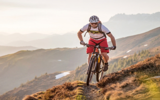 Highly Profitable Metro Denver Bicycle Shop