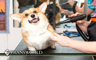 Flourishing Pet Grooming Empire - Two Prime Locati
