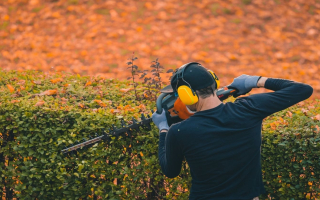 Thriving Turnkey Landscape Business Opportunity - Gilbert / Mesa area