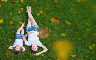 Lawn Fertilization Biz, Over 1K Recurring Clients  Lawn Fertilization Biz, Over 1K Recurring Clients
