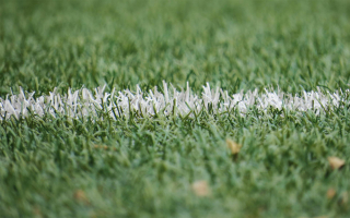 Outdoor Sports Complex in Michigan