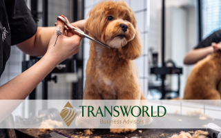 Profitable Dog Grooming Business w/Loyal Clientele