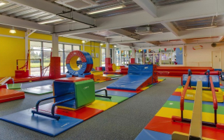 Highly Lucrative Children's Gym Franchise