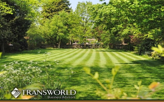 Ready to Bloom? Profitable Nursery 