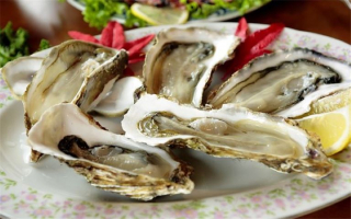 Oyster Bar, Help run, Full kitchen, High Vol & Net.