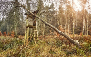High Fenced Hunting Preserve and Lodge with RE High Fenced Hunting Preserve and Lodge with RE