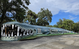 Florida Wildlife Park Attraction