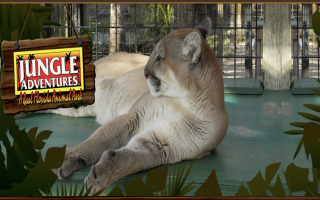 Florida Wildlife Park Attraction