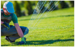 Lawn Care/Sprinkler Biz