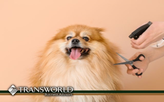Profitable Turnkey Pet Grooming Spa w// Loyal Clients