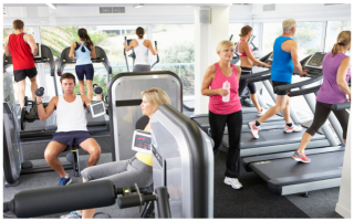 Established Commercial Fitness Equipment Vendor