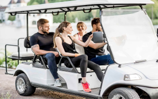 Golf Cart Rental Business - $299,999 - Flagler Beach, Florida