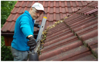 Long-Standing Gutter Business w/250 HOA Contracts