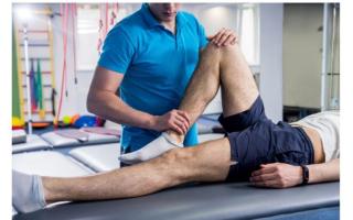 Dynamic and Competitive Physical Therapy Business 