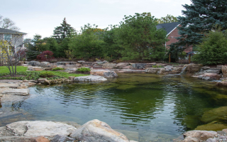 Profitable Pond & Water Feature Biz