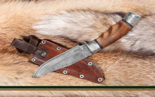 On Line Specialty E Commerce Business