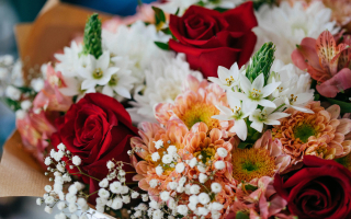 Community-Favorite Floral Shop Community-Favorite Floral Shop