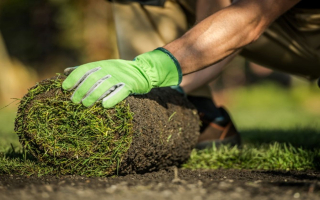 Landscape Business South Metro – $152K Down Gets $389K Cash Flow – SBA Available! 56765