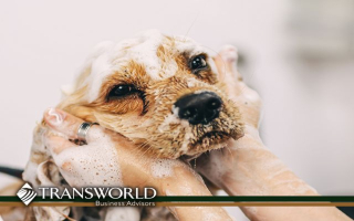 Long Standing Pet Boarding Business with RE