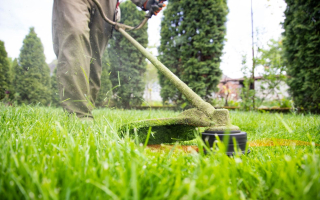 Lawn and Landscaping Plus Services
