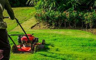 Lawn and Landscaping Plus Services