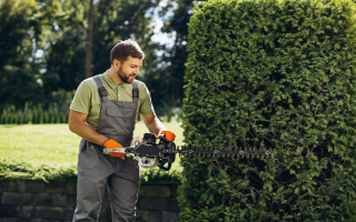 Lawn and Landscaping Plus Services