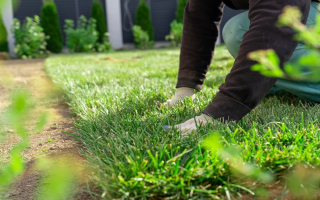 Lawn and Landscaping Plus Services