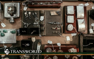 Relocatable Turnkey E-Commerce Brand w/Seller Fin.