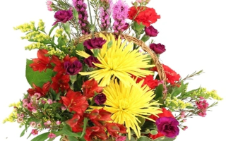 Established Florist & Gift Shop - Real Estate Available