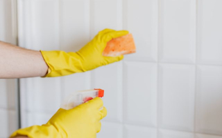 Business Cleaning Services