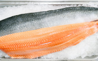 Wholesale and Retail Fish & Seafood Business