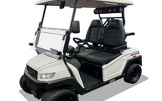 Thriving Electric Golf Cart Business in Prime Coastal Location