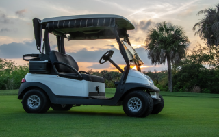 Profitable Golf Cart Sales & Rental - Tourist Area