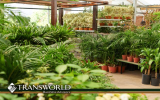 IllinoisCraft Grower Cannabis License