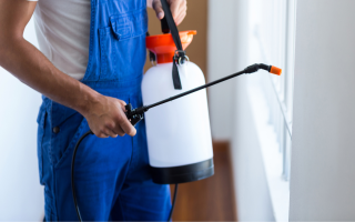 Reputable Pest Control Business in Growing Market