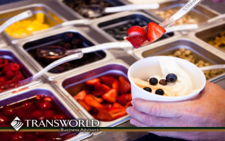 Pinkberry Frozen Yogurt – Turnkey w/ Employees