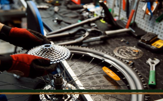 For Sale: Thriving Beachside Bicycle Store 