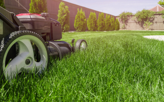 Winter Park Landscaping