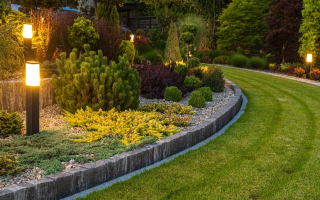 Well-Established Landscape Design and Maintenance 